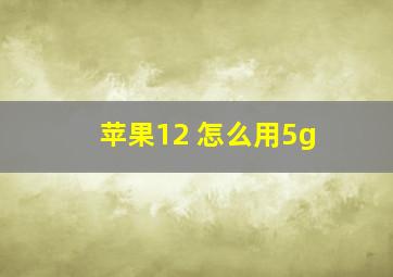 苹果12 怎么用5g